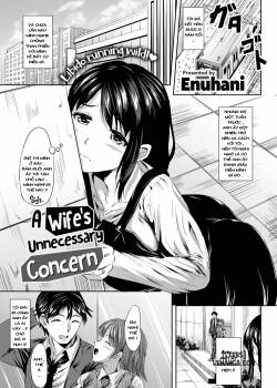 a-wife-s-unnecessary-concern.jpg