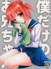 bokudake-no-onii-chan.jpg