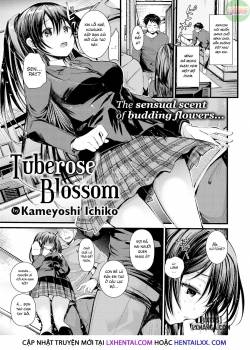 tuberose-blossom.jpg