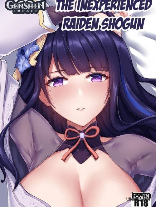 the-inexperienced-shogun.jpg